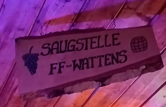 Weihe-bei-Partnerfeuerwehr